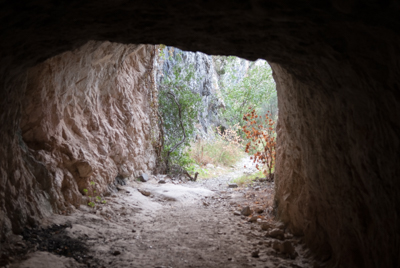 Saliendo de la cueva